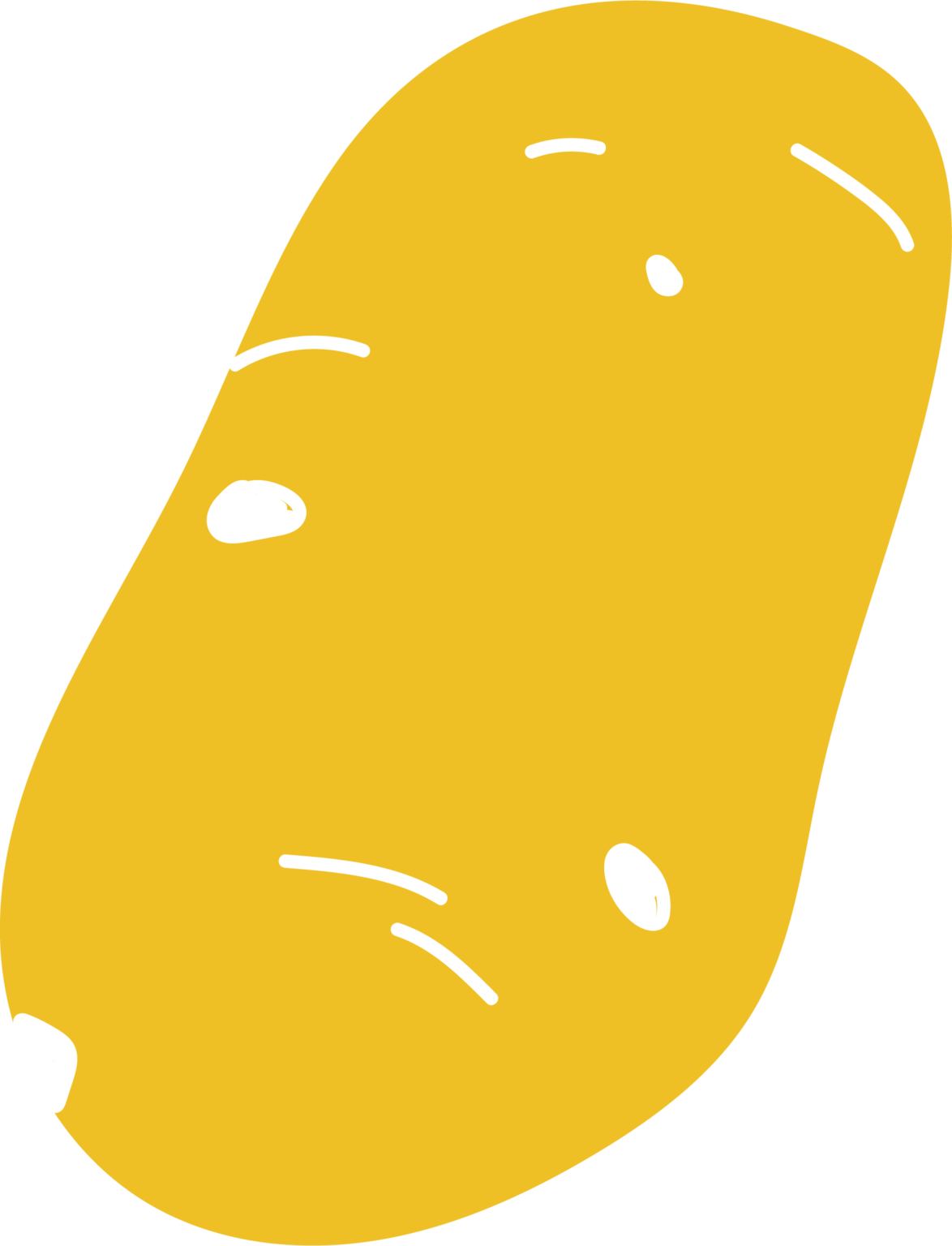 willkommen-auf-dem-g-ttinger-wochenmarkt