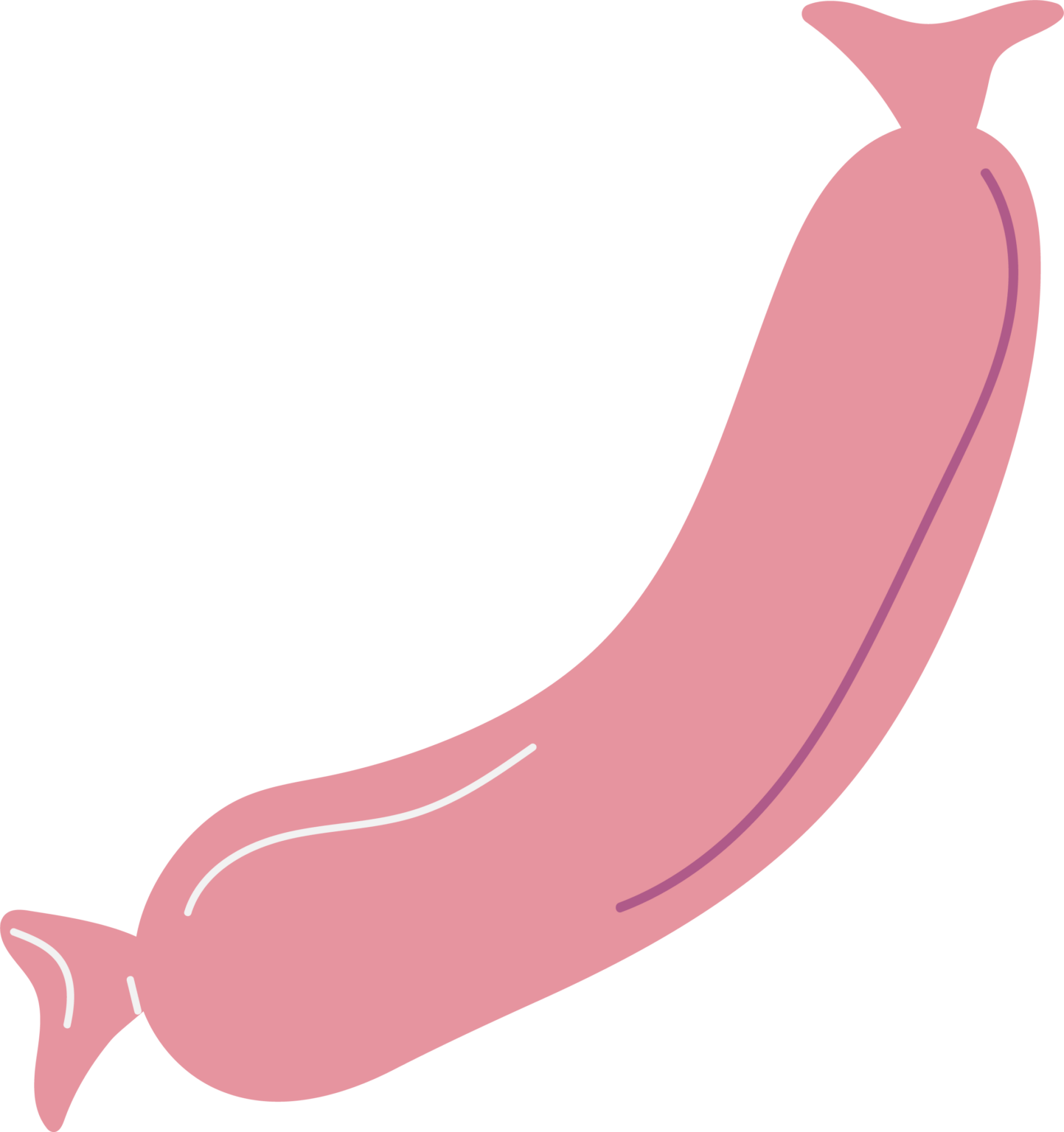 willkommen-auf-dem-g-ttinger-wochenmarkt