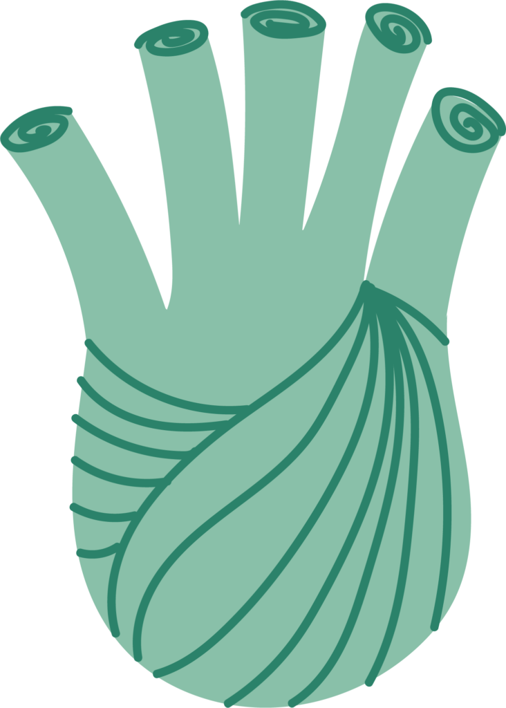 Willkommen Auf Dem G ttinger Wochenmarkt